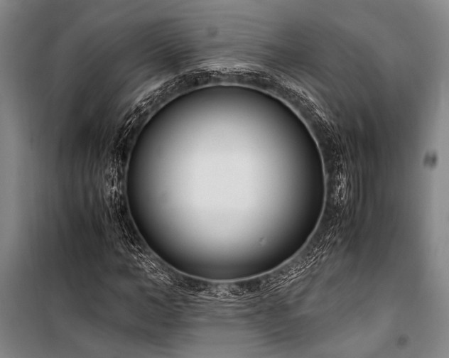 X0000101190966200806271311