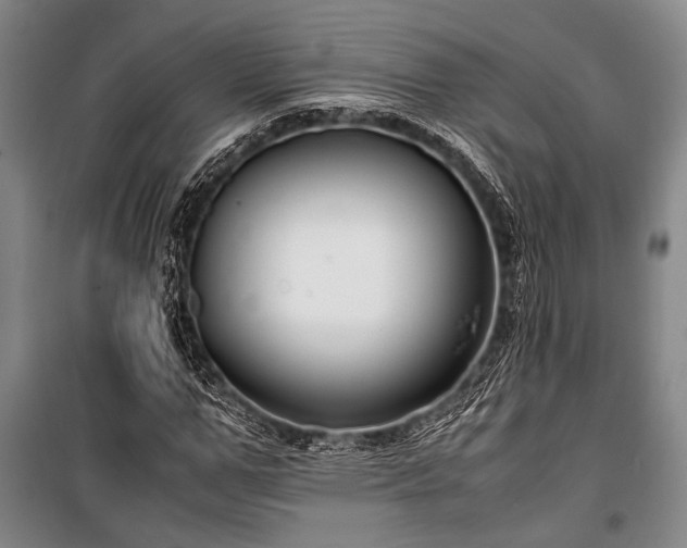 X0000101190967200806271311