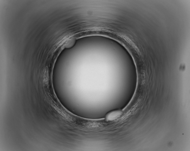 X0000101190969200806271311