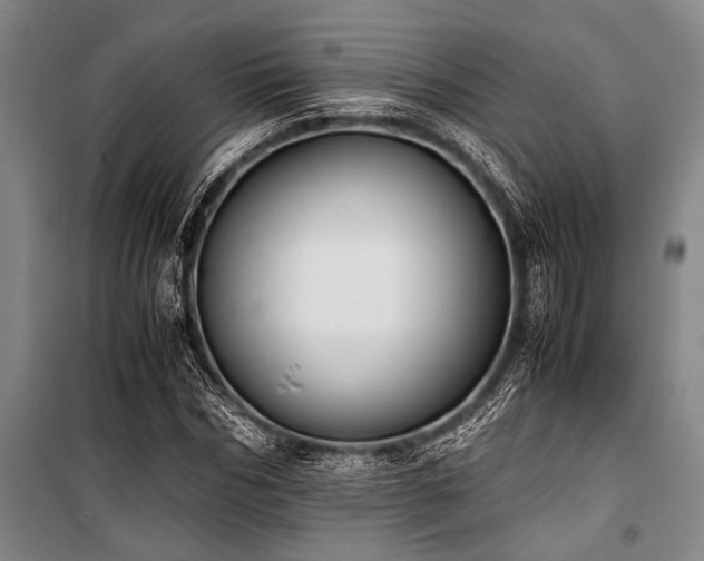 X0000101190970200806271311