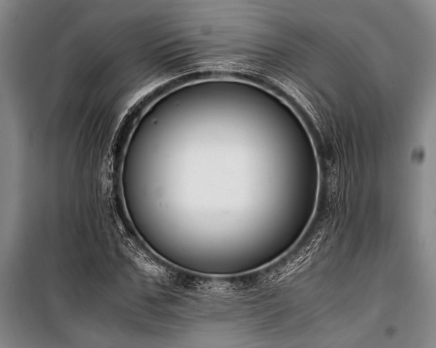 X0000101190971200806271311