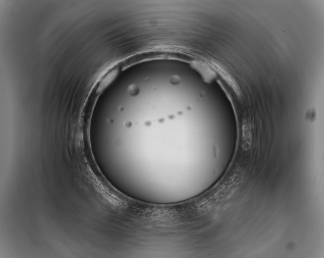 X0000101190972200806271311