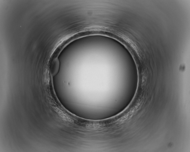 X0000101190973200806271311