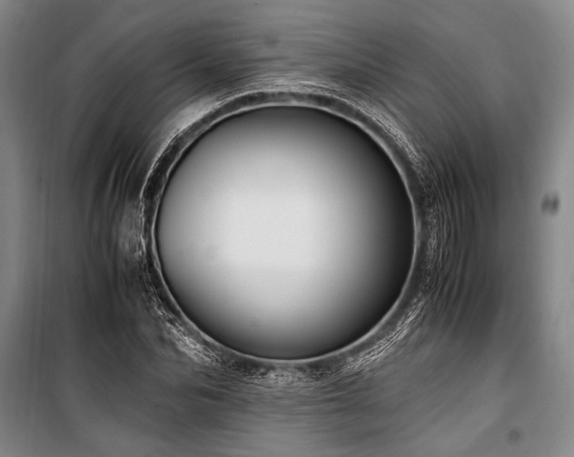 X0000101190974200806271311