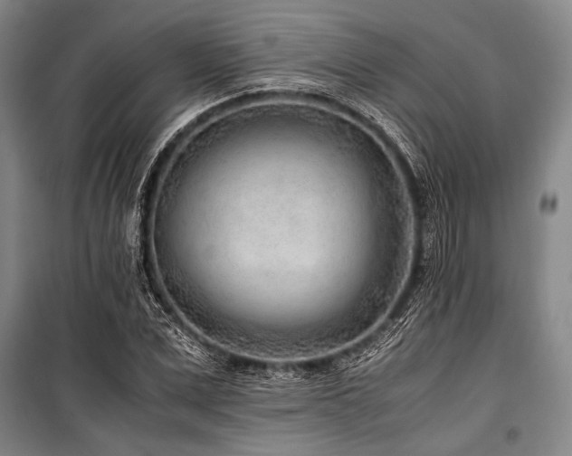 X0000101190975200806271311
