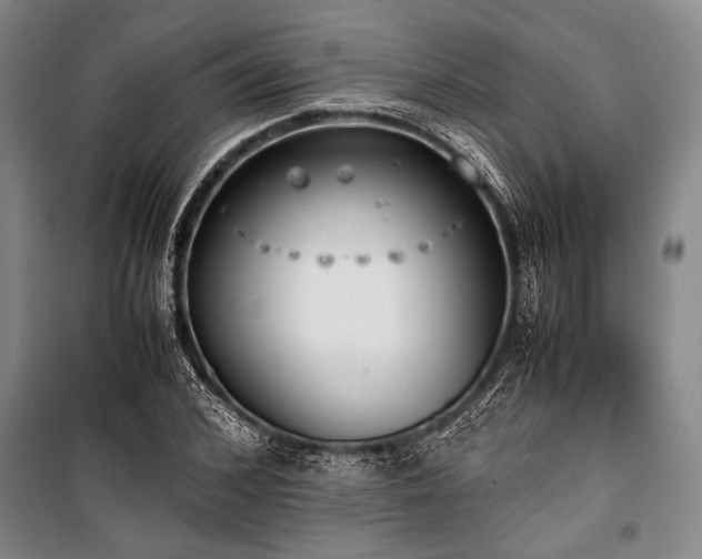 X0000101190976200806271311