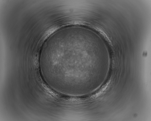 X0000101190977200806271311