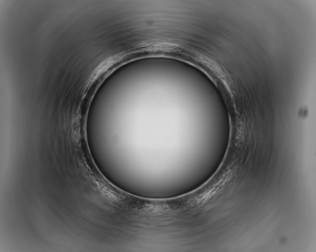 X0000101190978200806271311