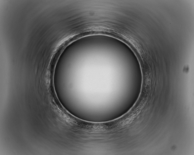 X0000101190979200806271311