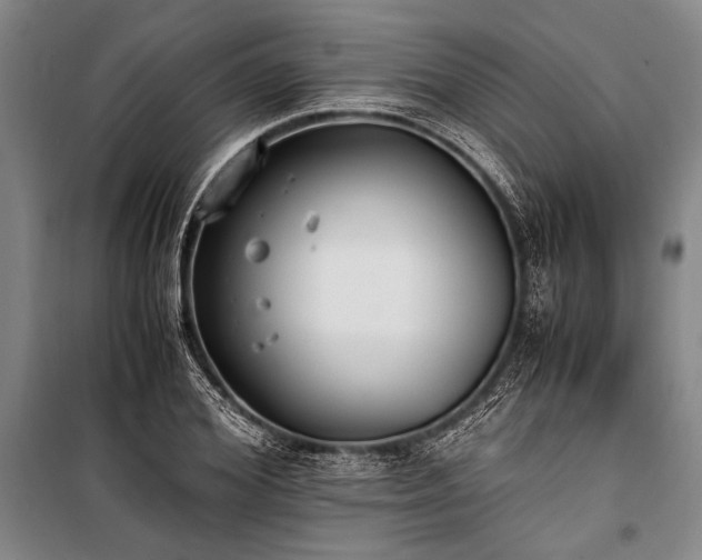 X0000101190980200806271311