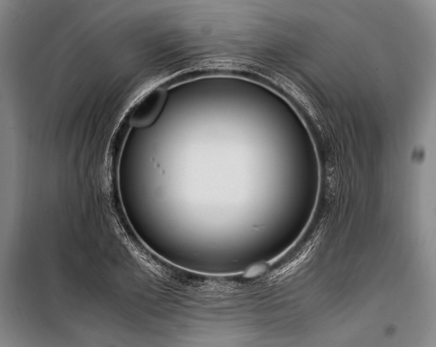 X0000101190981200806271311