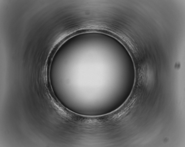 X0000101190982200806271311