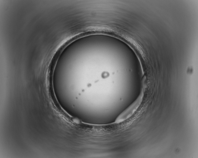 X0000101190983200806271311
