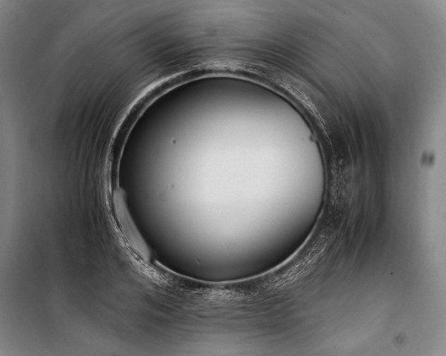 X0000101190984200806271311