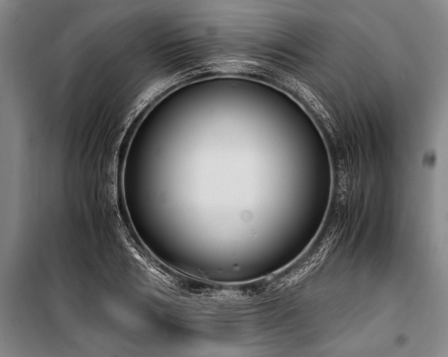 X0000101190986200806271311