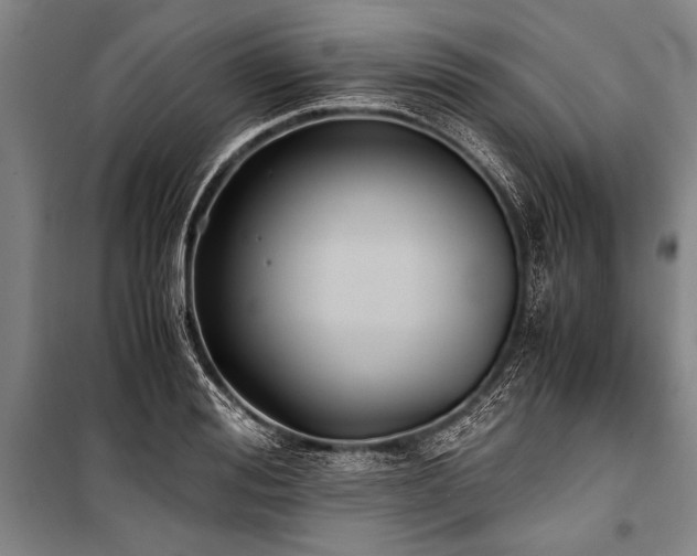X0000101190988200806271311