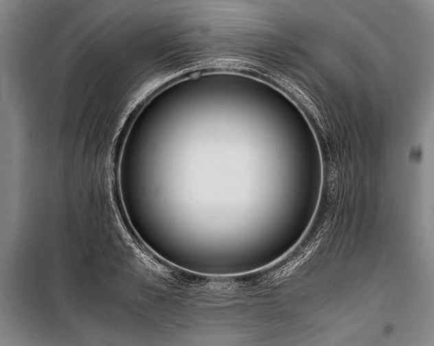 X0000101190989200806271311