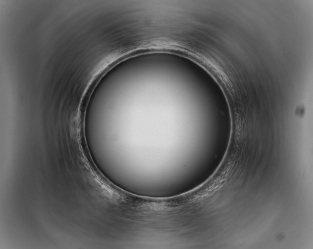 X0000101190990200806271311