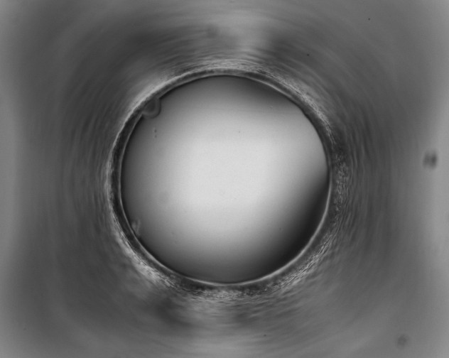 X0000101190991200806271311