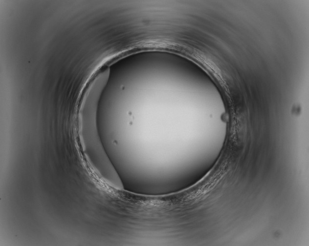 X0000101190992200806271311