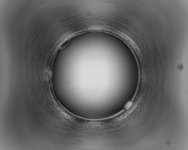 X0000101190993200806271311
