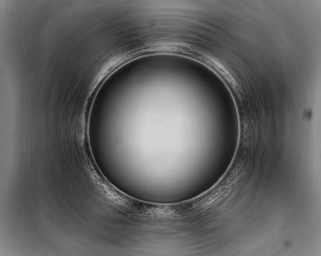X0000101190994200806271311