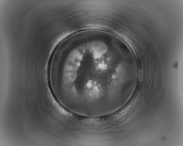 X0000101190995200806271311