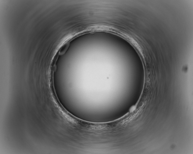 X0000101190997200806271311