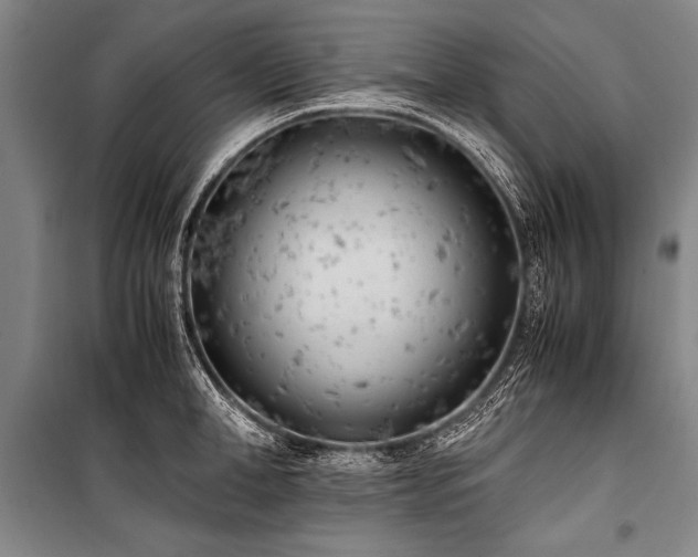 X0000101190998200806271311