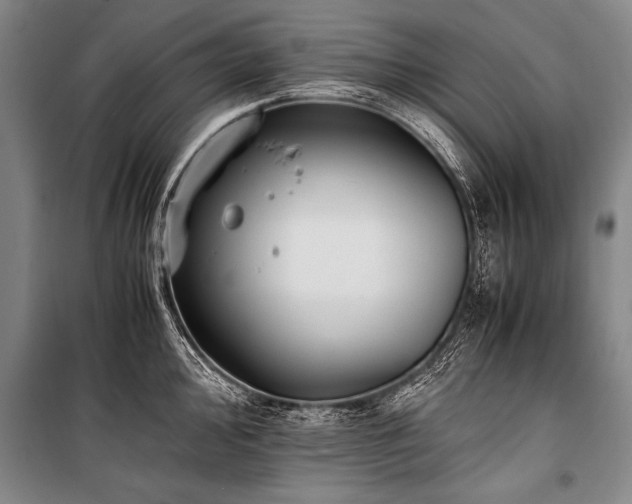 X0000101191000200806271311
