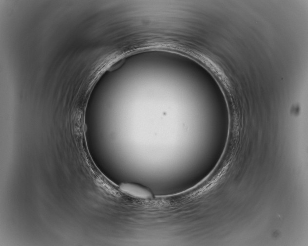 X0000101191001200806271311