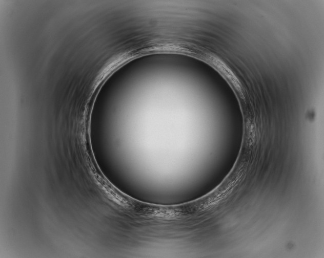 X0000101191002200806271311