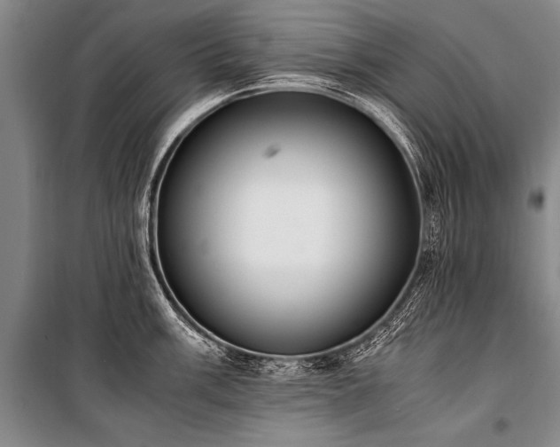X0000101191003200806271311
