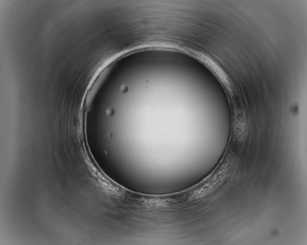 X0000101191004200806271311