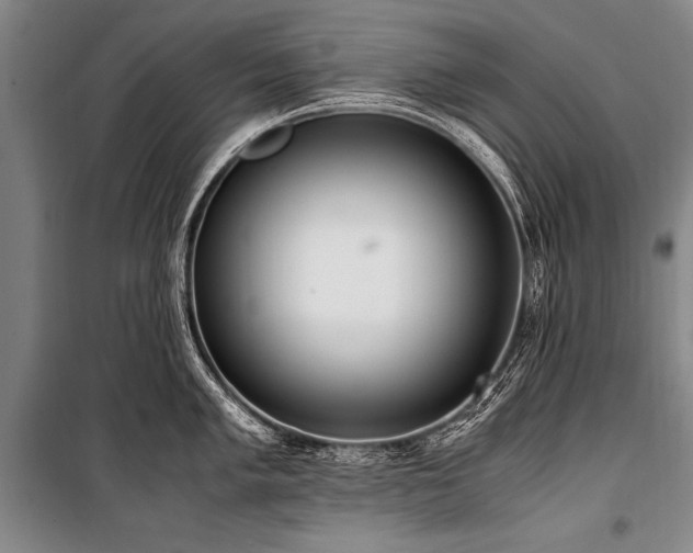 X0000101191005200806271311