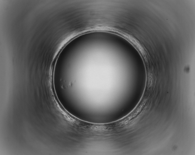 X0000101191006200806271311