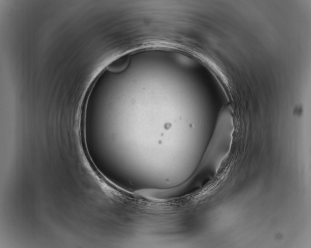 X0000101191007200806271311