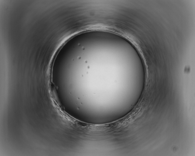 X0000101191008200806271311