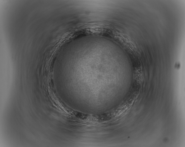 X0000101191009200806271310