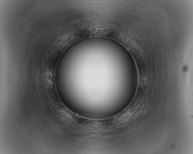 X0000101191010200806271310