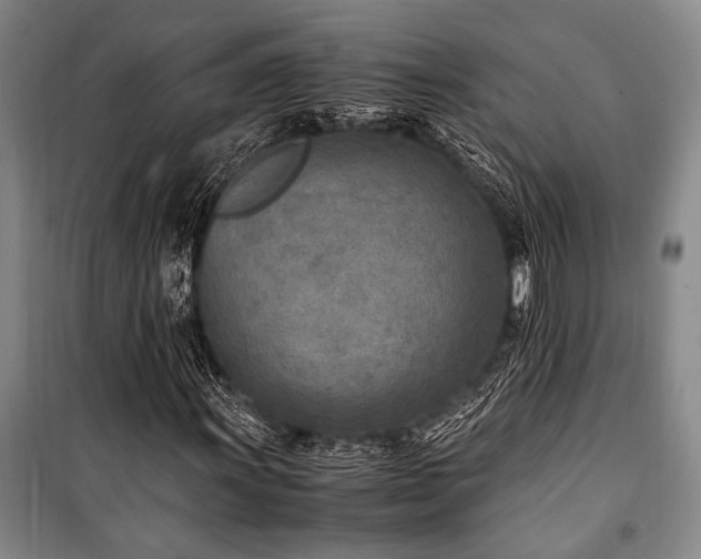 X0000101191011200806271310