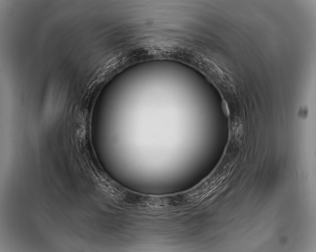 X0000101191012200806271310