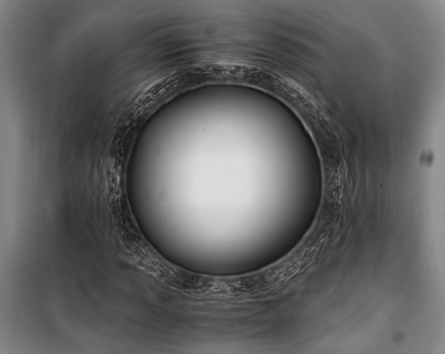 X0000101191013200806271310