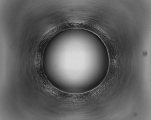 X0000101191014200806271310