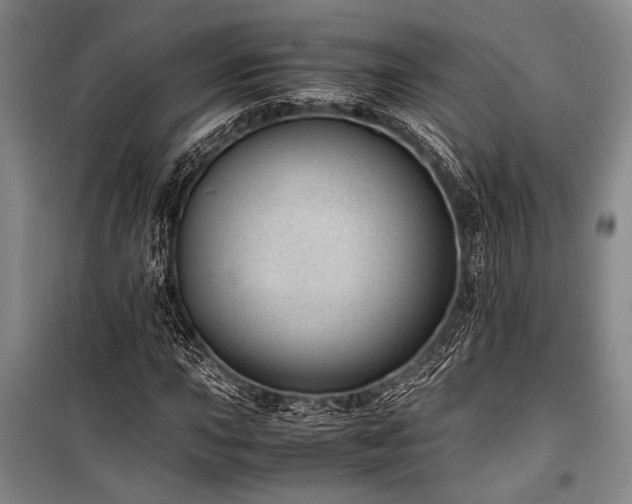 X0000101191015200806271310