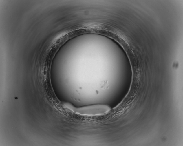 X0000101191016200806271310