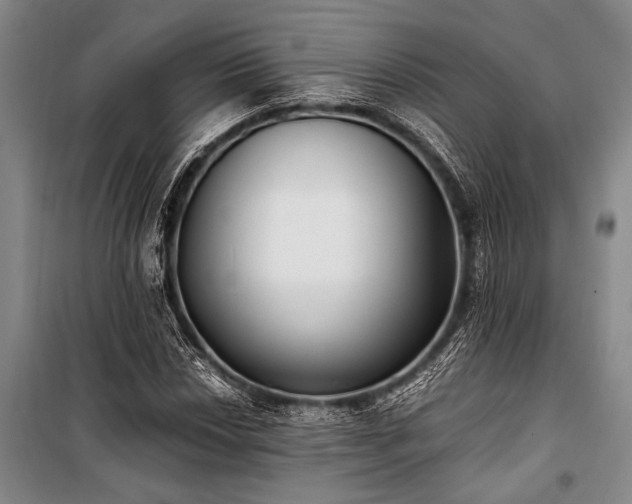 X0000101191018200806271310