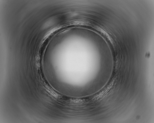 X0000101191019200806271310
