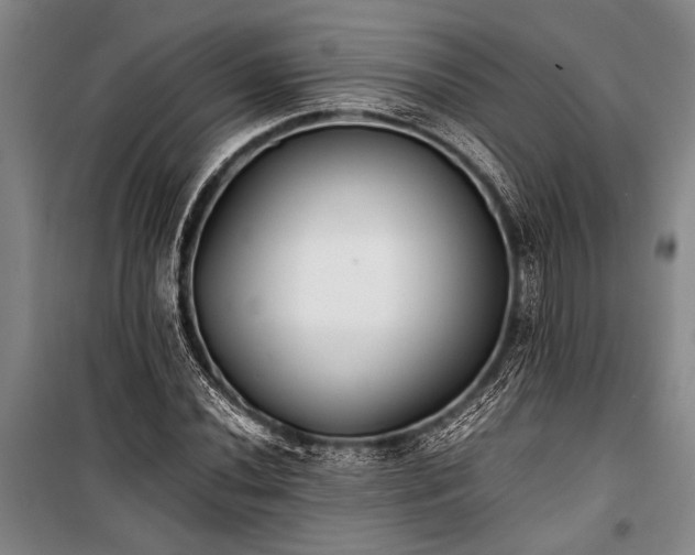 X0000101191020200806271310