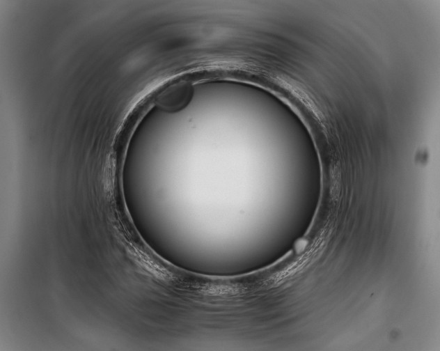 X0000101191021200806271310